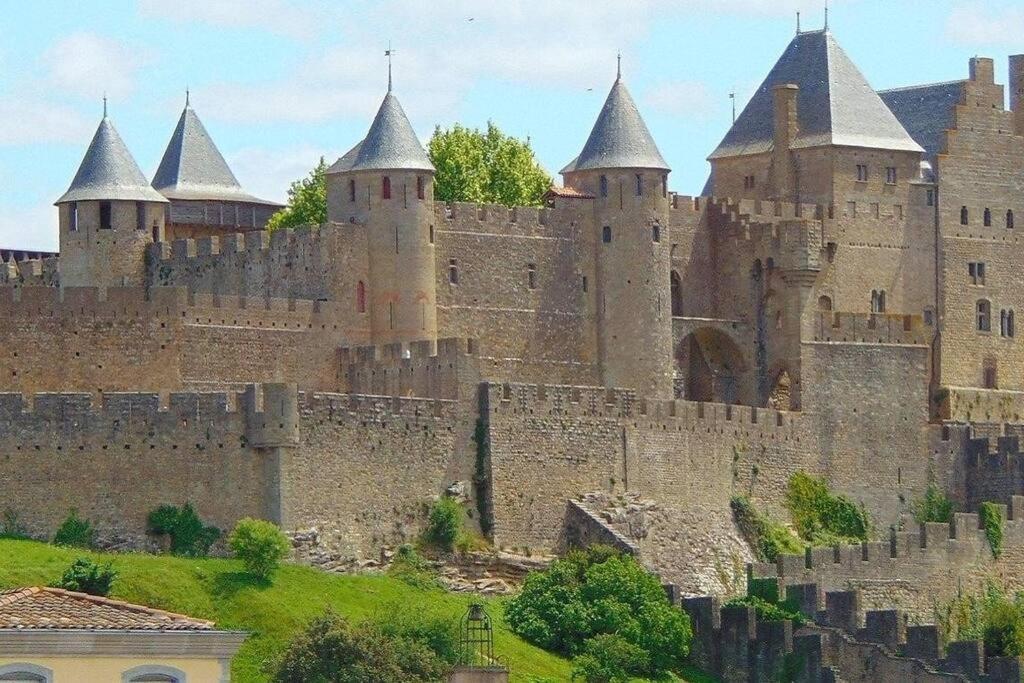 Spacieux appartement au pied de la cité médiévale Carcasona Exterior foto